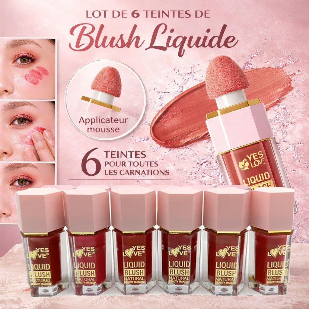 Blush Liquide Lot de 6 – Blush Crème Visage & Lèvres avec Applicateur Mousse – Effet Naturel – Waterproof – 6 Teintes OCIBEL