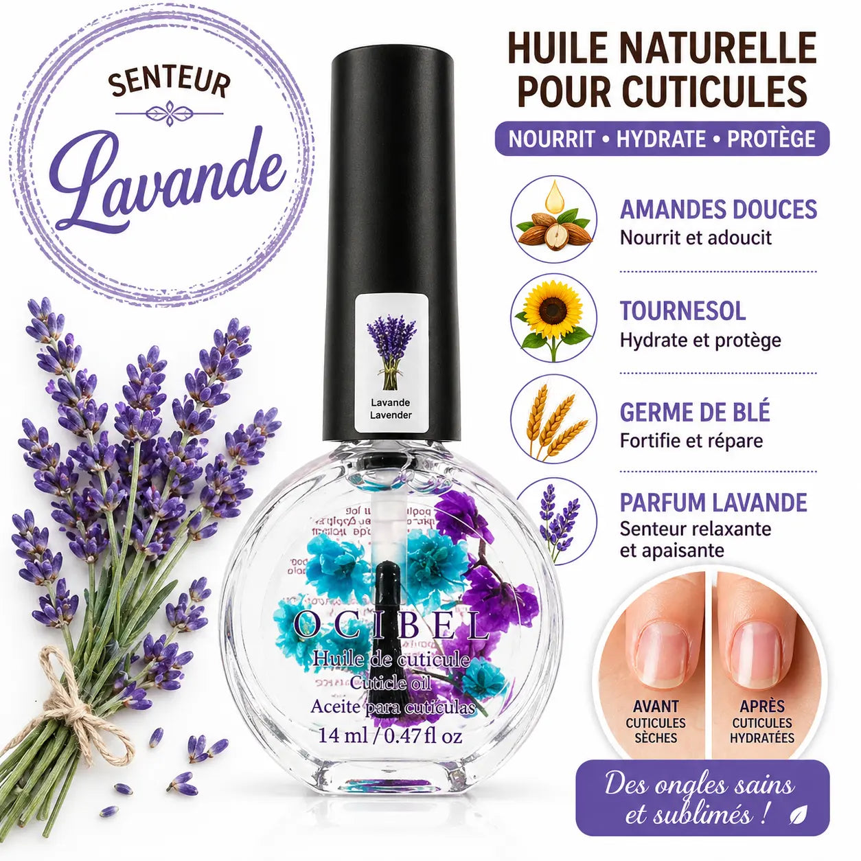 Huile pour Cuticules Senteur Lavande Premium 14 ml avec Fleurs – Soin Nourrissant et Hydratant pour Ongles – Huiles Naturelles Amande Douce, Tournesol, Germe de Blé – Réparation Cuticules
